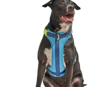 Wild one Large Harness